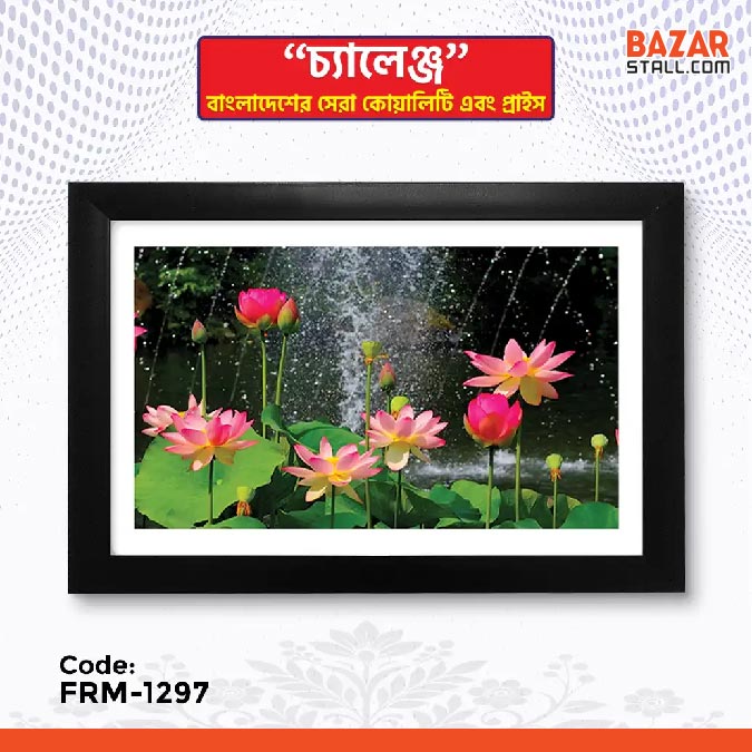 Photo Frame-1297